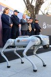 Câini-roboţi vor ajuta poliţia mexicană în timpul Cupei Mondiale - VIDEO