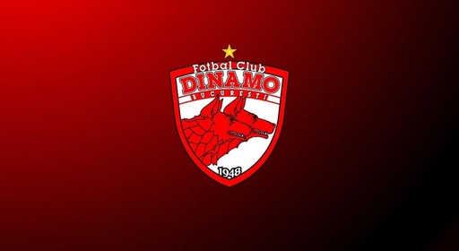 Modificări aduse legii privind violenţa la competiţiile sportive: Dinamo - Probleme serioase de claritate, proporţionalitate şi aplicabilitate practică / Ce solicită clubul bucureştean