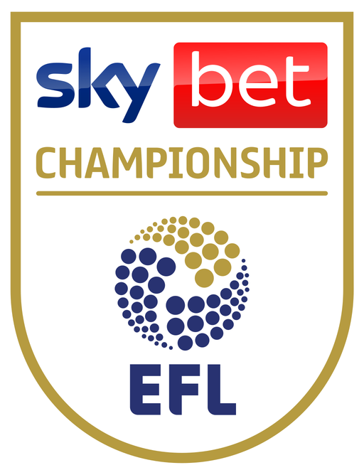 Anglia: Echipa Southampton, exclusă din finala play-off-ului Championship din cauza unui scandal de spionaj