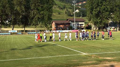 Fotbal: FC Argeş - Vllaznia Shkoder 5-2 în meci amical