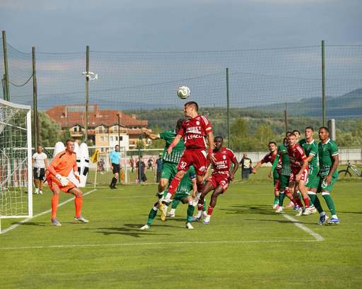 FC Botoşani, 2-2 cu Ludogoreţ în ultimul meci din stagiul din Bulgaria