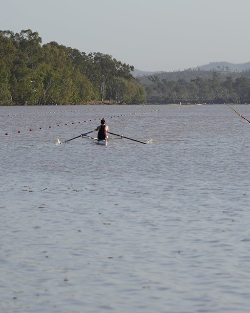 Jocurile Olimpice din 2032: un fluviu plin de crocodili va găzdui probele de canotaj şi caiac-canoe