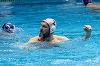 Polo: Dinamo Bucureşti, eşec la scor în preliminariile LEN Euro Cup, 11-21, cu Vouliagmeni NC