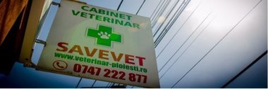 COMUNICAT DE PRESĂ: Mai puţine compromisuri! Un cabinet veterinar destinat exclusiv rezolvării tuturor problemelor de sănătate ale necuvântătoarelor!