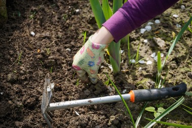 COMUNICAT DE PRESĂ: Grădinăritul, un hobby din ce în ce mai îndrăgit de români