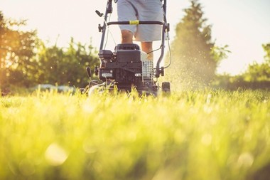 COMUNICAT DE PRESĂ: Ti-ai cumparat o casa si vrei sa ai grija de gradina ta? Iata care sunt cele mai importante instrumente de care ai nevoie!