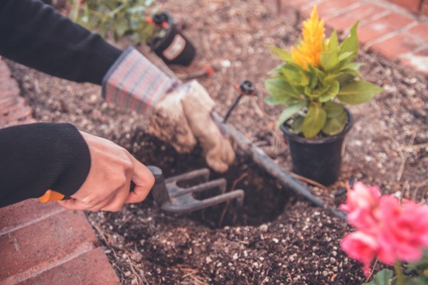 COMUNICAT DE PRESĂ: Cum îţi pregăteşti grădina la început de primăvară?