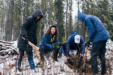 Maspex Romania prin brandul Bucovina a desfăşurat cea de-a patra campanie de reîmpădurire Protejăm Ţinutul Echilibrului