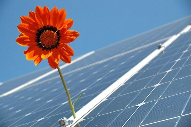 COMUNICAT DE PRESĂ: Energia Solară Fotovoltaică şi Protecţia Mediului: Cum Contribuie la Reducerea Emisiilor de Carbon