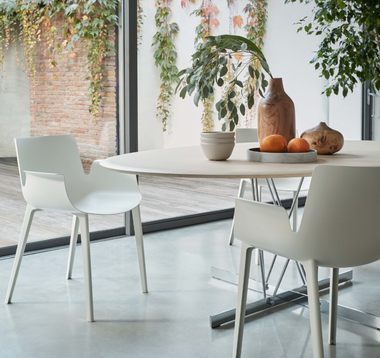 Black Friday la SensoDays - descoperă cele mai noi şi în tendinţe produse de Home Décor 