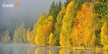 COMUNICAT DE PRESĂ: Cum sărbătorim natura în luna Octombrie