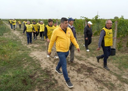 George Simion: România nu poate supravieţui fără fermierii săi. Programul AUR pentru agricultură