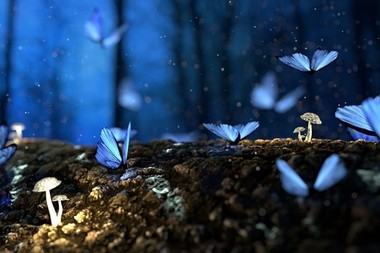 Din somn, spre lumină: Cum se naşte un vis pictat fără a deveni un coşmar al formei?