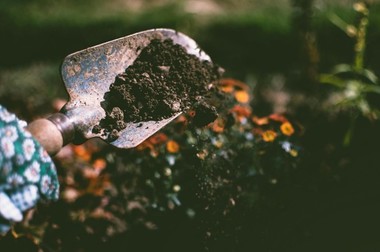 Cum să începi aventura în cultivarea grădinii?: Paşii esenţiali pentru începători