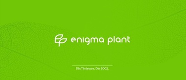 De la rădăcini tradiţionale la inovaţie: parcursul Enigma Plant