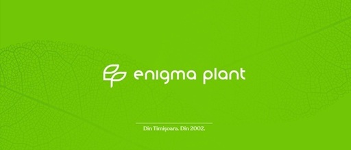De la rădăcini tradiţionale la inovaţie: parcursul Enigma Plant