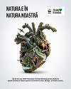 Colaborare pentru natură rezilientă: 20 de ani de impact WWF-România