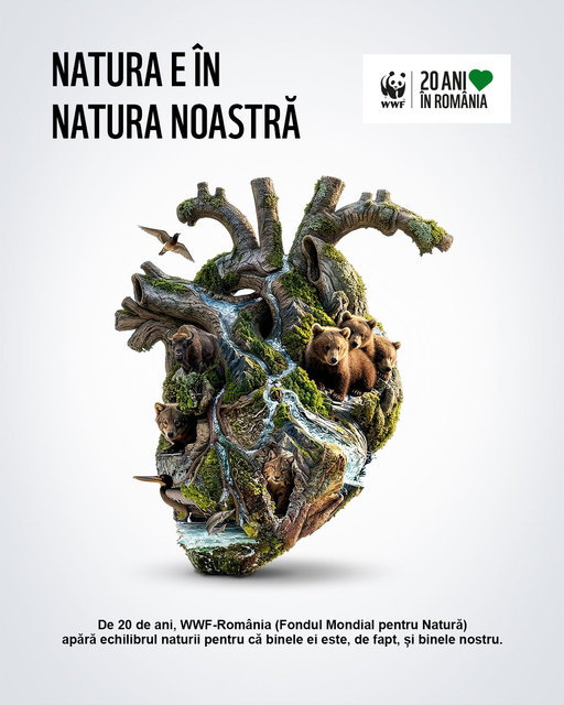 Colaborare pentru natură rezilientă: 20 de ani de impact WWF-România