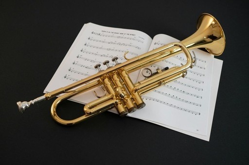 Materiale şi calitate: cum să alegi instrumentul muzical potrivit