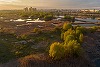 Nicuşor Dan: Parcul Natural Văcăreşti are regulament, aprobat de Ministerul Mediului, care protejează, printr-o serie de reglementări, această zonă naturală
