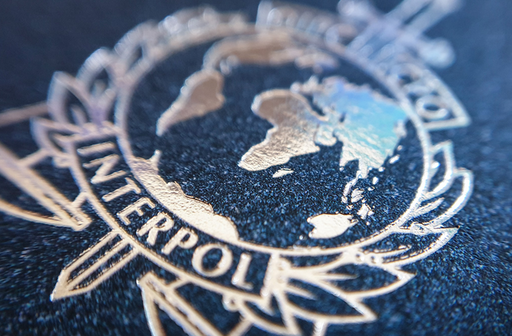 Infracţiuni de pedofilie - 20 de persoane arestate de Interpol în 12 ţări