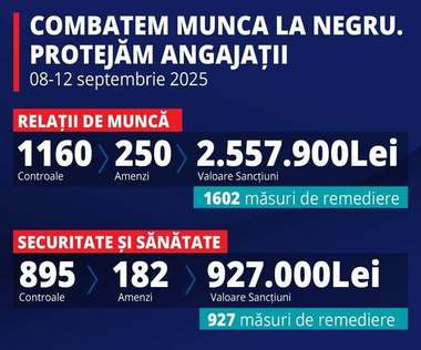 Ministrul Muncii: În urma a peste 2.000 de controale, inspectorii de muncă au depistat 370 de persoane care munceau nedeclarat. La o fabrică de mobilă din Bihor au fost găsiţi 295 de angajaţi care, deşi aveau contracte part-time, lucrau zilnic