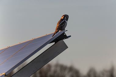 Panourile solare presurizate: O inovaţie în captarea eficientă a energiei solare