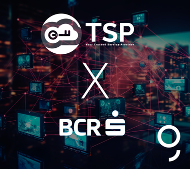 Trans Sped şi BCR consolidează serviciile de digital banking