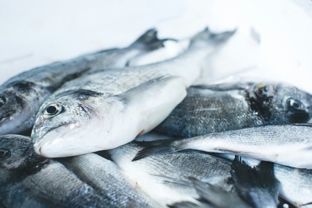Descoperă Deliciile Sănătoase ale Peştelui de Sărbători: Reţete Creative cu Somon şi Păstrăv