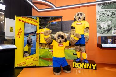 PENNY continuă să susţină valorile sportului românesc şi devine partener al Muzeului Fotbalului (P)