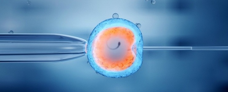 Cercetătorii internaţionali fac progrese în direcţia creării de embrioni artificiali