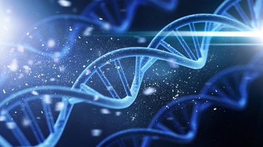 Ce spune un test genetic despre slăbit, sport, somn şi riscul de boli? Dr. Cerasela Jardan, MedLife: „E un «plan personalizat» pentru prevenţie“