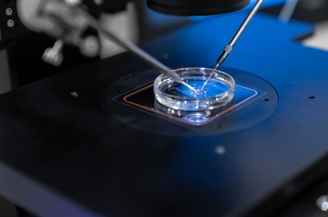 Fertilizarea in vitro, şansa tot mai multor românce de a deveni mame: „După 35 de ani, timpul contează enorm”