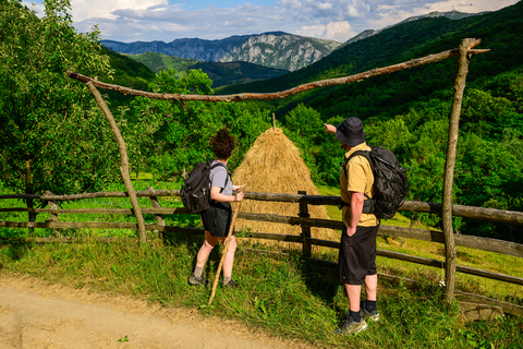 Studiu: Românii nu ştiu că mersul pe jos poate face bine şi minţii, nu doar corpului. Doar 12% merg frecvent în drumeţii, deşi cei care o fac declară mai multă energie şi o calitate mai bună a vieţii