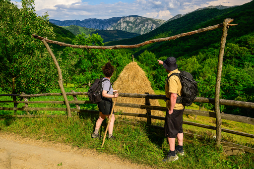 Studiu: Românii nu ştiu că mersul pe jos poate face bine şi minţii, nu doar corpului. Doar 12% merg frecvent în drumeţii, deşi cei care o fac declară mai multă energie şi o calitate mai bună a vieţii
