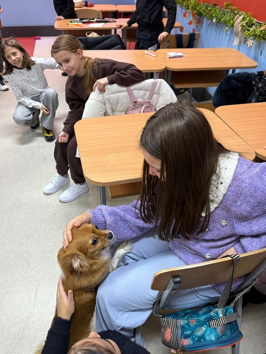 FOTO - Facebook / Protectia Animalelor CJ Ilfov