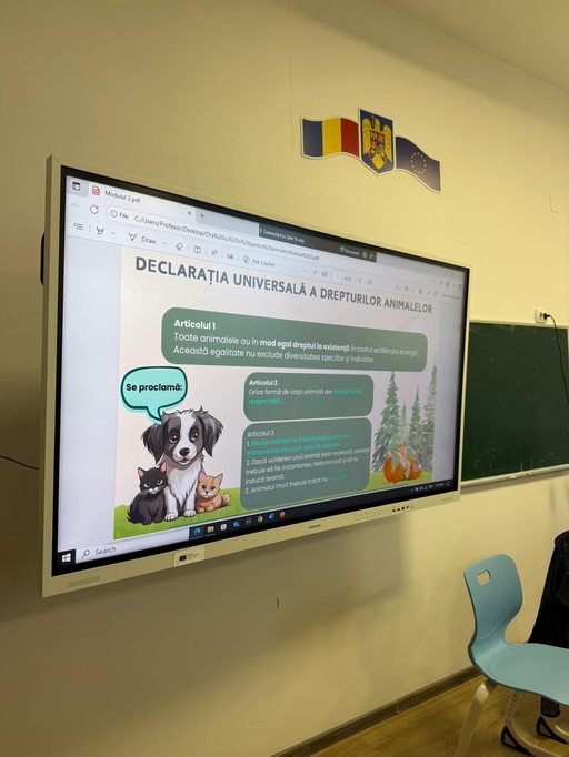 Opţional dedicat elevilor de clasele a V-a şi a VI-a din Ilfov - ”Ora cu şi despre animale” - pe cale să devină naţional / Rezultatele după primul an arată că elevii s-au ajutat mai mult între ei şi au devenit mai empatici / Proiect în dezbatere - FOTO