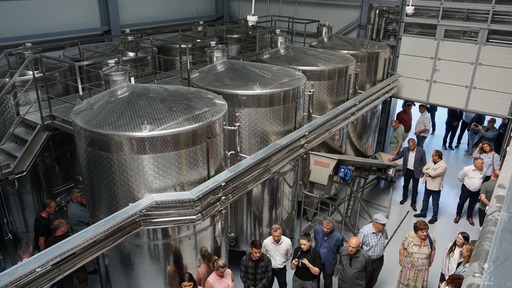 O cramă folosită pentru pregătirea studenţilor, dar şi pentru producţia proprie de vin, a fost inaugurată de Universitatea de Ştiinţele Vieţii din Iaşi / Investiţia depăşeşte 25 de milioane de lei