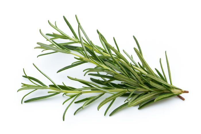 7 beneficii ale rozmarinului