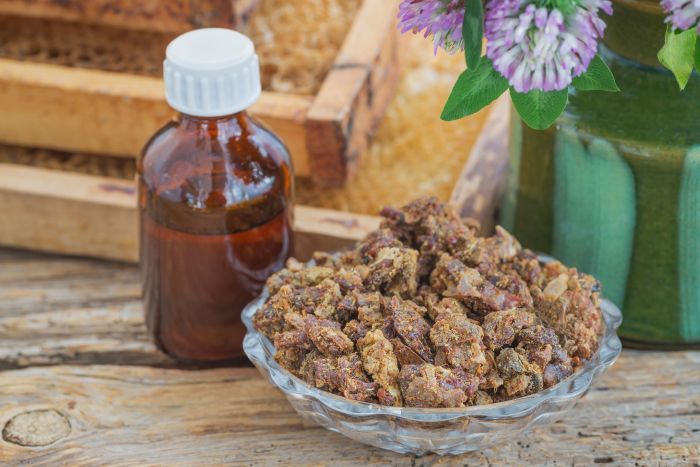 Miraculosul propolis, farmacia albinelor. 6 afecţiuni în care este indicat