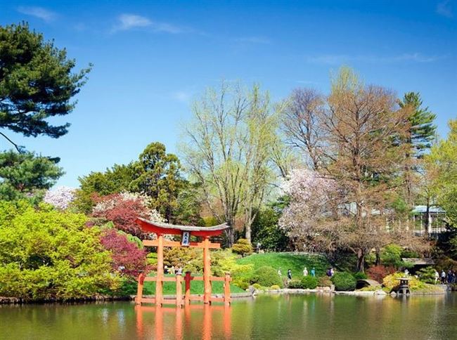 Imagini pentru gradina botanica sydney