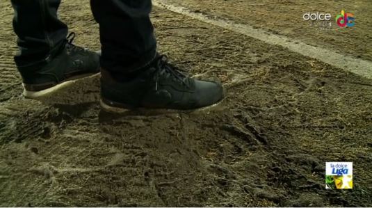 Imagini groteşti la Târgu Mureş! INCREDIBIL cum arată un gazon din Liga I: "Am făcut deja contestaţie" VIDEO