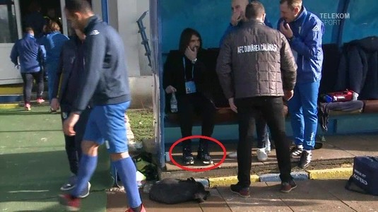 VIDEO | Cu ce-a venit încălţat Alexa la meciul cu FCSB? Antrenorul a uimit un stadion întreg: ghete de 1000 € cu şireturi roş-albastre. 