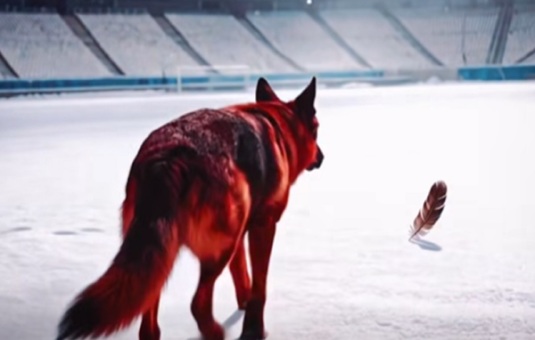 "Ei sunt cei care discriminează". Andrei Nicolescu a ieşit la atac după imaginile controversate de promovare pentru Rapid - Dinamo