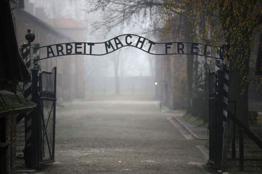 Chelsea vrea să îi trimită pe fanii rasişti la fostul lagăr de concentrare Auschwitz în loc să le dicteze interdicţii