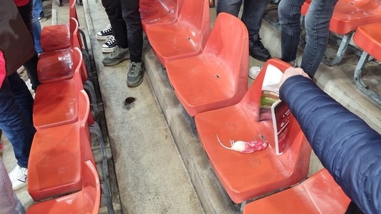 Imagini şocante la meciul Standard Liege - Charleroi. Fanii echipei oaspete au aruncat cu şobolani morţi către suporterii gazdelor