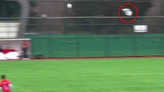 VIDEO | Inedit! Un jucător a lovit involuntar cu mingea un pescăruş, în timpul unui meci de fotbal din Turcia. Ce a urmat este senzaţional