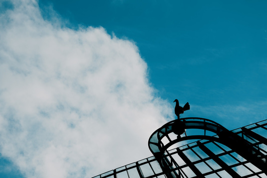 Pierdere imensă pentru Tottenham. Colegul lui Radu Drăguşin s-a accidentat şi ar putea sta pe tuşă până la finalul sezonului