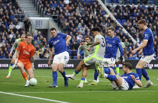 Un suporter al echipei Everton a fost arestat pentru insulte rasiste în timpul meciului cu Manchester City
