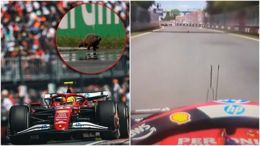VIDEO | Lewis Hamilton a lovit o marmotă la Grand Prix-ul Canadei: "Sunt devastat"